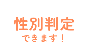 性別判定できます！